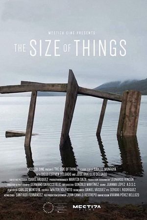 The Size of Things's poster