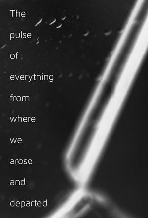 The pulse of everything from where we arose and departed's poster