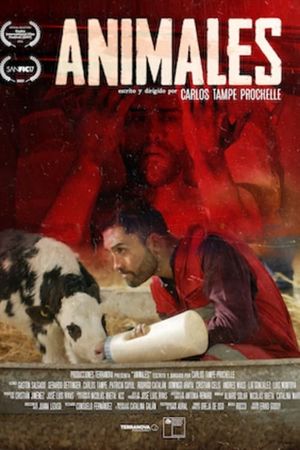 Animales's poster