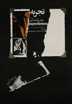 The Experience's poster