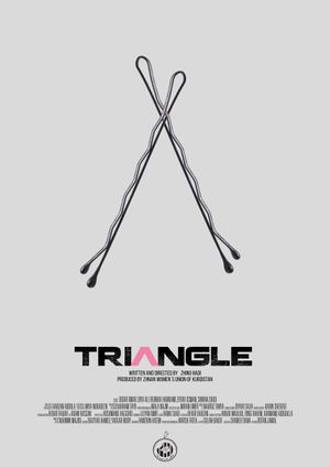 Triangle's poster