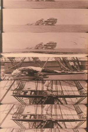 Untitled Joseph Cornell Film (The Wool Collage)'s poster