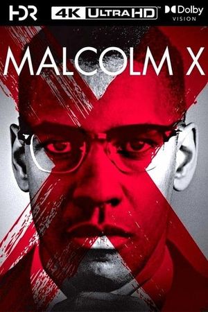 Malcolm X's poster