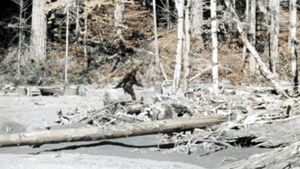 Patterson–Gimlin film's poster