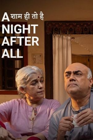A Night, After All's poster
