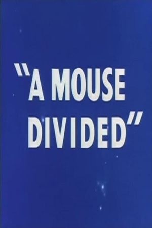 A Mouse Divided's poster