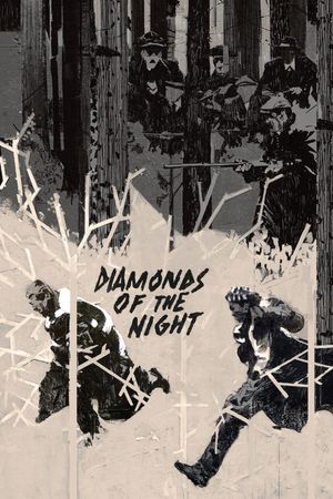 Diamonds of the Night's poster