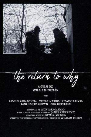 The Return to Why's poster image