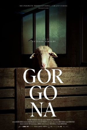 Gorgona's poster