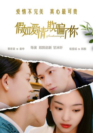 假如爱情欺骗了你's poster