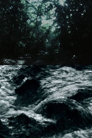 Ceiba's poster