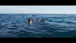 Something in the Water's poster