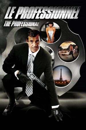 The Professional's poster