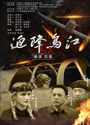 迫降乌江's poster image