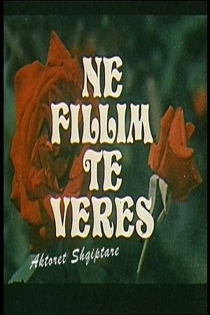 Në fillim të verës's poster image