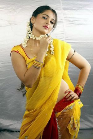 Vaanam's poster