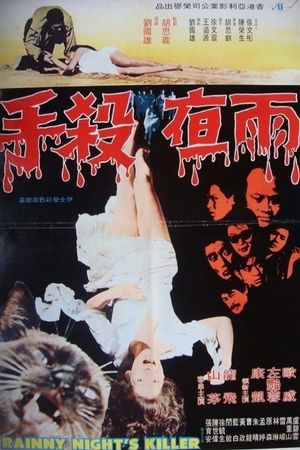 Rainy Night's Killer's poster