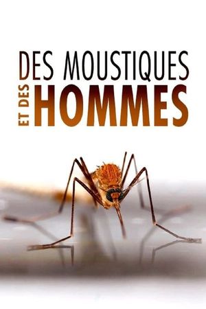 Des Moustiques et des Hommes's poster