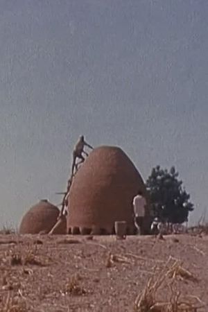 Bawra's poster