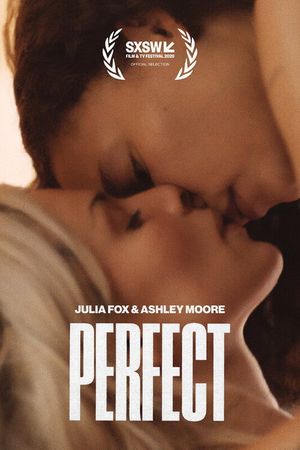 Perfect's poster image