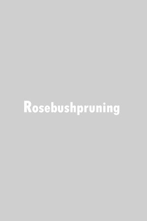 Rosebush Pruning's poster