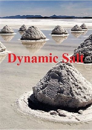 Dynamic Salt's poster