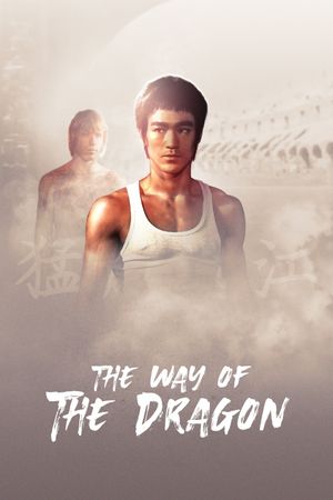 The Way of the Dragon's poster