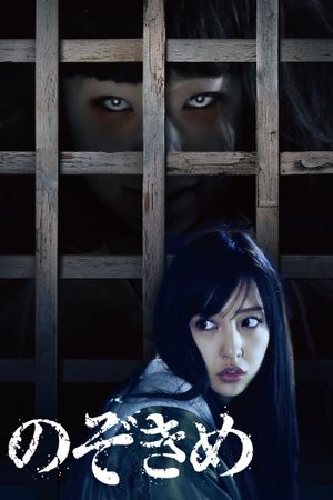 Nozokime's poster