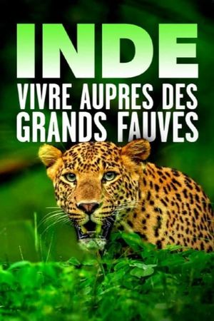 Inde - Vivre auprès des grands fauves's poster