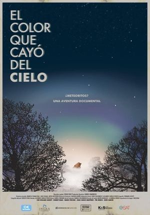 El color que cayó del cielo's poster