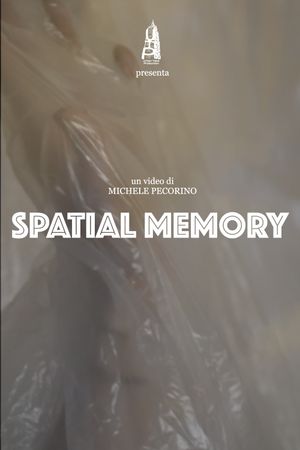 Spatial Memory's poster