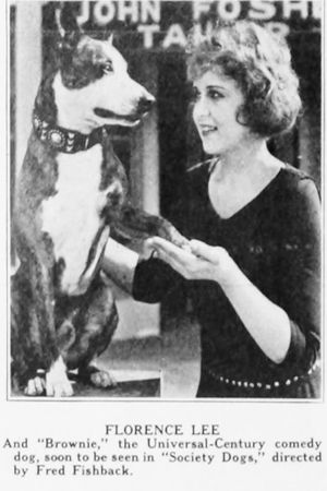 Society Dogs's poster