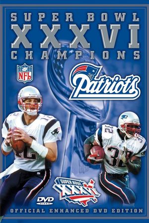 2001 New England Patriots - Super Bowl XXXVI Champions's poster