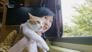 The Journey of the 12 Cats's poster
