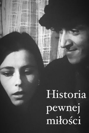 Random Love Story's poster