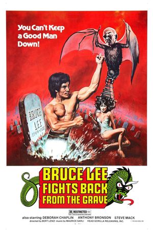 Bruce Lee Fights Back from the Grave's poster