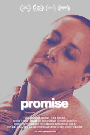 Promise's poster