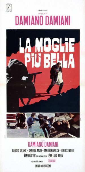 The Most Beautiful Wife's poster