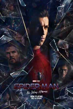 Spider-Man: No Way Home's poster