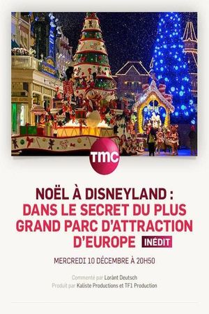 Noël à Disneyland : dans le secret du plus grand parc d'attraction d'Europe's poster image