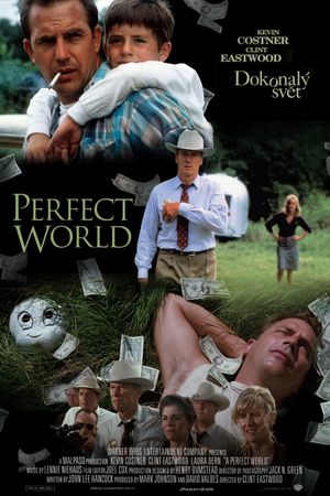 A Perfect World's poster