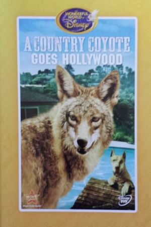 A Country Coyote Goes Hollywood's poster