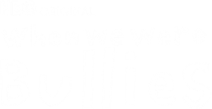 When We Were Bullies's poster