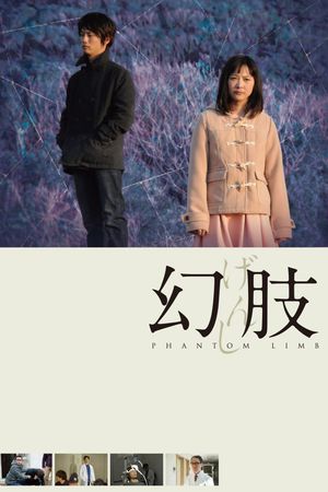 Phantom Limb's poster