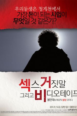 Sex, Lies and Videotape's poster
