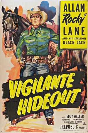 Vigilante Hideout's poster