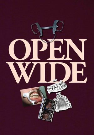 Open Wide's poster