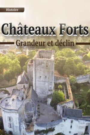 Châteaux forts : grandeur et déclin's poster