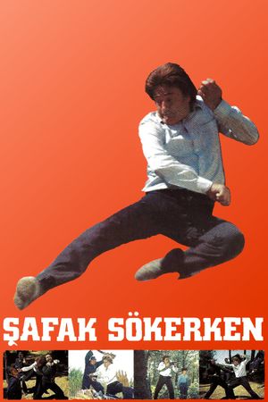 Safak Sökerken's poster