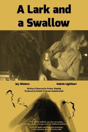 A Lark and a Swallow's poster